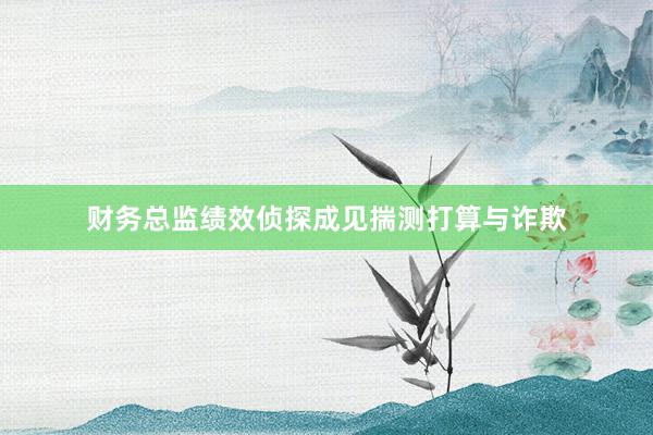 财务总监绩效侦探成见揣测打算与诈欺